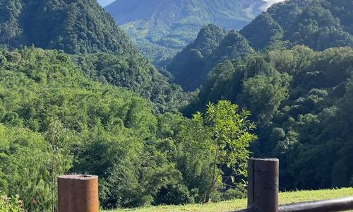 Kisah Sukses Desa BRILiaN di Lereng Gunung Merapi yang Berhasil Kembangkan Pariwisata Alam dan Agrikultur