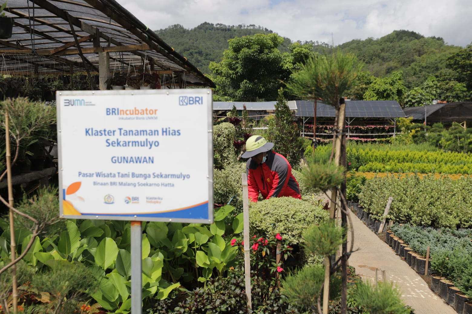 Terbesar di Indonesia, Portofolio Sustainable Finance BRI Tembus Rp796 Triliun