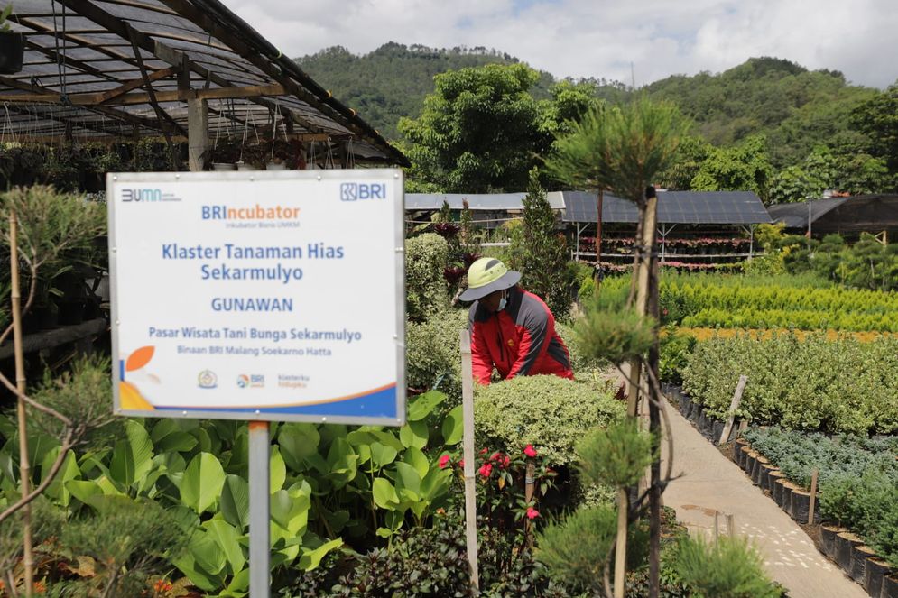Terbesar di Indonesia, Portofolio Sustainable Finance BRI Tembus Rp796 Triliun