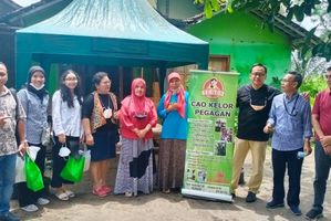 Berkat Dukungan KUR BRI, Pengusaha Wanita Ini Berhasil Sulap Kelor Jadi Aneka Olahan Pangan