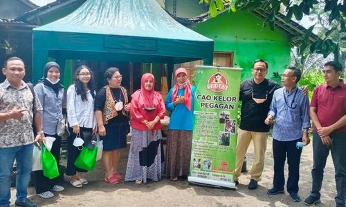 Berkat Dukungan KUR BRI, Pengusaha Wanita Ini Berhasil Sulap Kelor Jadi Aneka Olahan Pangan