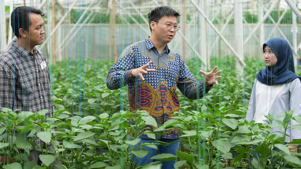 Kirim British Council - Panji 1.jpg