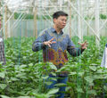 Kirim British Council - Panji 1.jpg