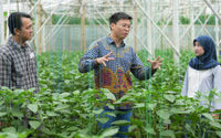 Direktur Indonesia dan Asia Tenggara, British Council Summer Xia saat  melakukan observasi dan mendengarkan penjelasan terkait bibit tanaman yang ditunjukkan oleh salah seorang petani lokal. Foto : Panji Asmoro/TrenAsia