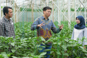 Kirim British Council - Panji 1.jpg