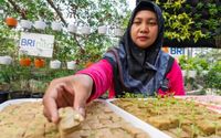 BRI Raih Pengakuan atas Aksi Nyata di Urban Farming dan Perempuan Mandiri