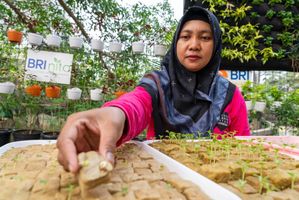 BRI Raih Pengakuan atas Aksi Nyata di Urban Farming dan Perempuan Mandiri