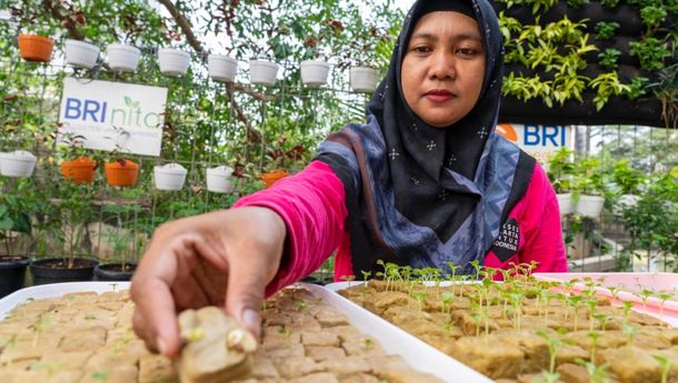 Kontribusi BRI untuk Urban Farming dan Perempuan Berdaya Makin Berdampak