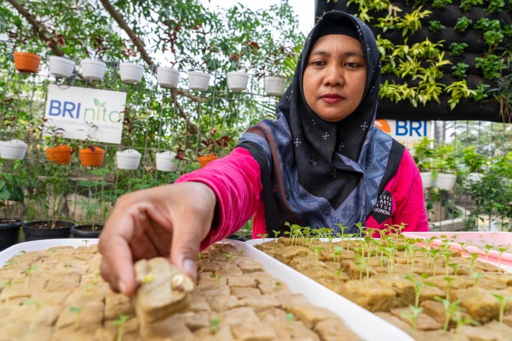 BRI Raih Pengakuan atas Aksi Nyata di Urban Farming dan Perempuan Mandiri