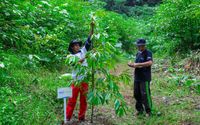 BRI Konsisten Rawat Bumi, Begini Aksinya di Hari Lingkungan Hidup Sedunia Lewat BRI Menanam – Grow & Green