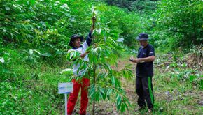Hijaukan Negeri, BRI Terus Bergerak di Hari Lingkungan Hidup Sedunia Lewat BRI Menanam – Grow & Green