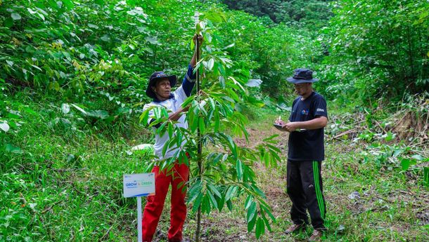 Hijaukan Negeri, BRI Terus Bergerak di Hari Lingkungan Hidup Sedunia Lewat BRI Menanam – Grow & Green