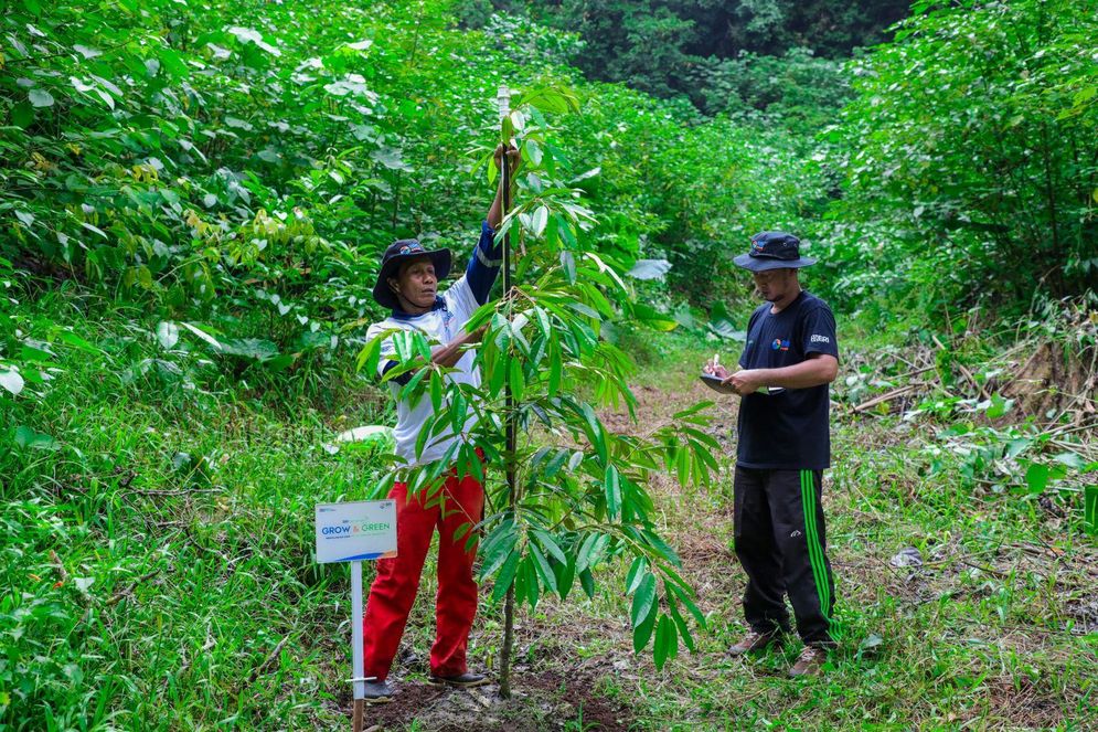 BRI Konsisten Rawat Bumi, Begini Aksinya di Hari Lingkungan Hidup Sedunia Lewat BRI Menanam – Grow & Green