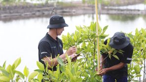 Hari Lingkungan Hidup Sedunia: Momen BRI Satukan Langkah untuk Bumi Lewat BRI Menanam – Grow & Green