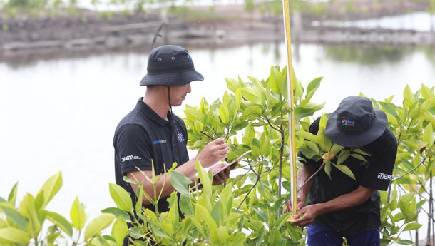BRI Ambil Bagian dalam Aksi Global Peringati Hari Lingkungan Hidup Sedunia Lewat BRI Menanam – Grow & Green