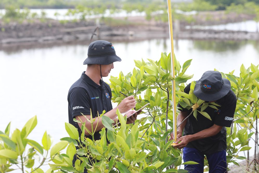 BRI Ambil Bagian dalam Aksi Global Peringati Hari Lingkungan Hidup Sedunia Lewat BRI Menanam – Grow & Green