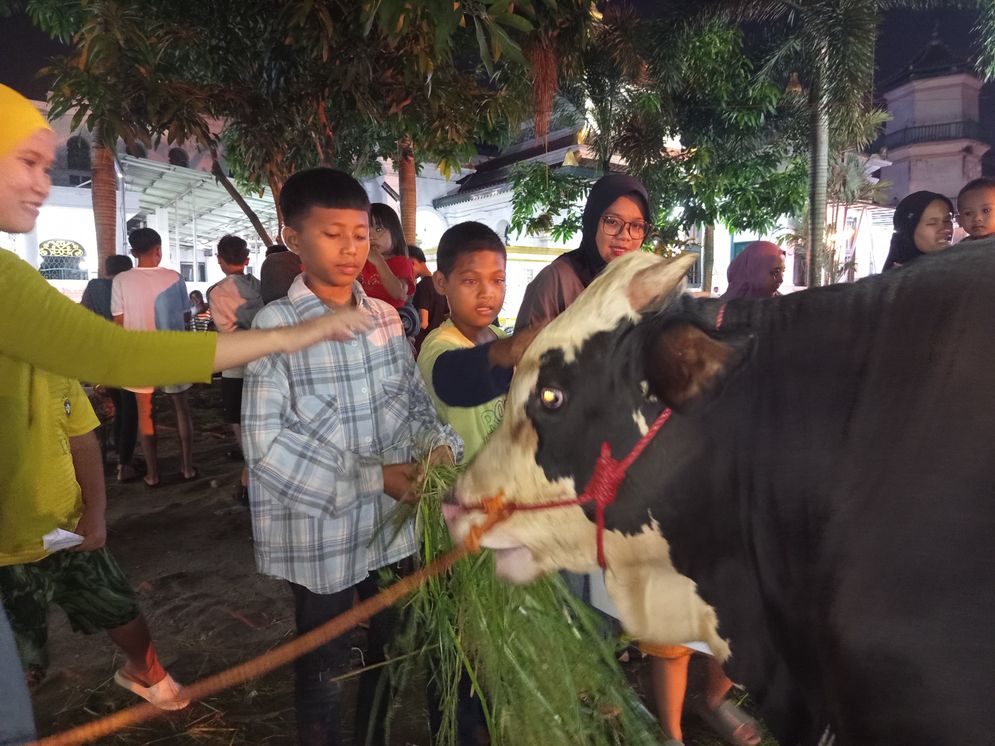 Malam Takbiran Iduladha: Warga Padati Masjid Agung Palembang, Antusias Beri Makan Hewan Kurban