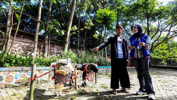 BRI Bangkitkan Semangat Peternak Domba Sukalaksana Lewat Program Berkelanjutan
