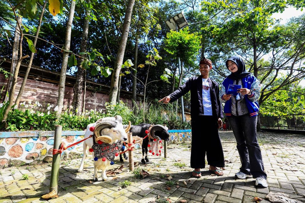 BRI Bangkitkan Semangat Peternak Domba Sukalaksana Lewat Program Berkelanjutan