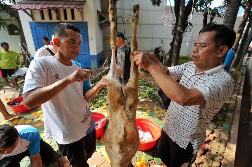 Berbagi Berkah dan Kebahagiaan Iduladha, PGN Group Bagikan 955 Hewan Kurban untuk Masyarakat