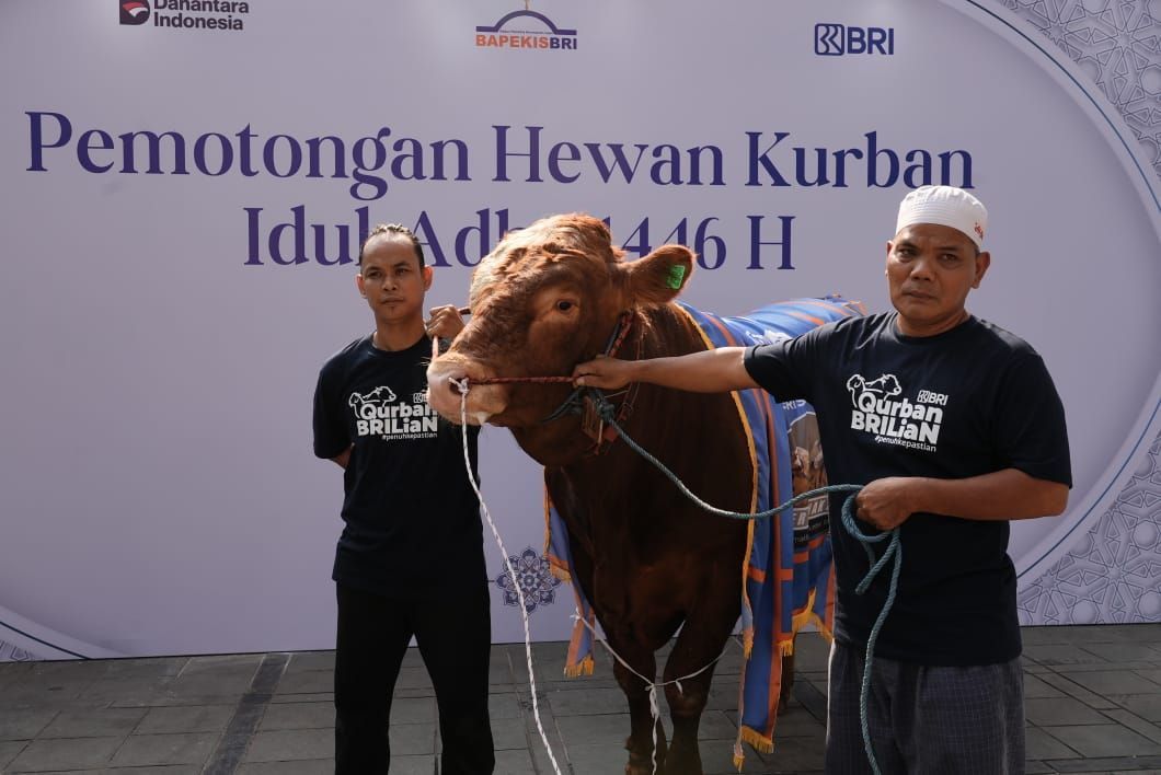 Semangat Sosial Bapekis dan Karyawan BRI, 961 Hewan Kurban Disalurkan untuk Masyarakat
