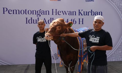Komitmen Wujudkan Kepedulian, Bapekis dan Karyawan BRI Berbagi 961 Hewan Kurban