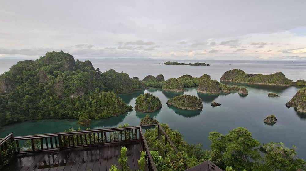 Pulau Piaynemo Raja Ampat