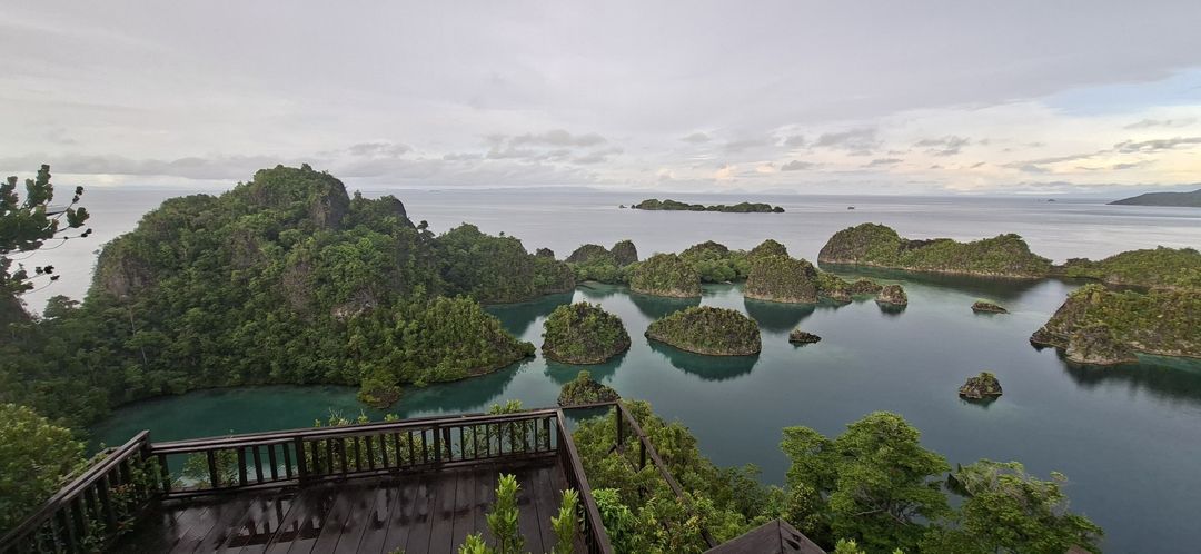 Pulau Piaynemo Raja Ampat