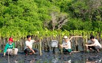 Carbon Offset Diuji Relevansinya, Ini Tanggapan Para Ahli.jpeg