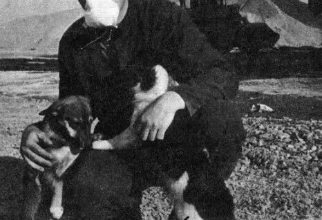 Anjing di kawasan Chernobyl