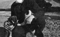 chernobyl-dog-1060323102035.jpeg
