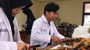 Pewarna Alami Daun Ketapang, Pertahankan Warna Kain dari Sinar Matahari