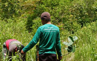 LindungiHutan Dorong Perusahaan Perluas Dampak CSR.jpg
