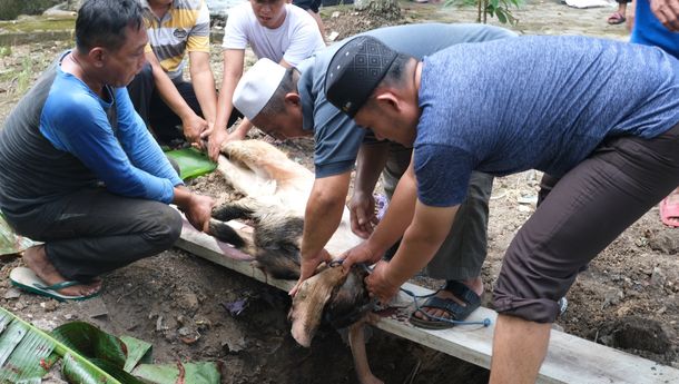 PLN Nusantara Power UP Bandar Lampung Gelar Kegiatan Kurban Idul Adha 1446 H