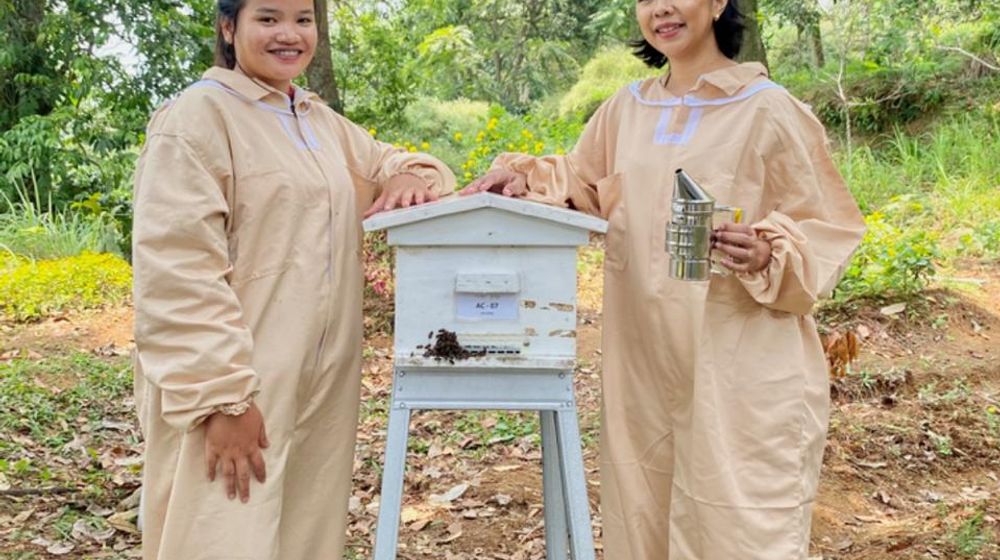 BeeMa Honey, produsen madu artisan premium yang kini mulai menjangkau pasar internasional. 