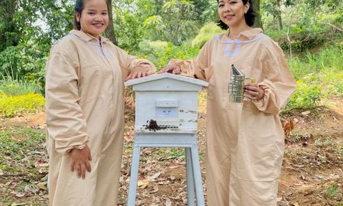 BeeMa Honey, produsen madu artisan premium yang kini mulai menjangkau pasar internasional. 