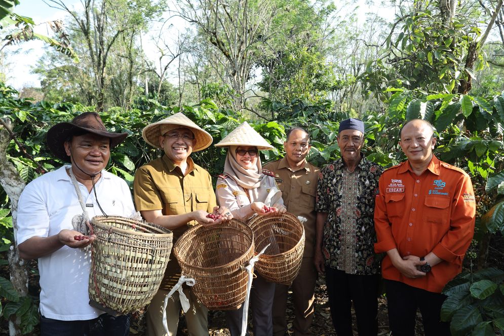 Cara OJK Sumsel, Perkuat Akselerasi Ekosistem Kopi dari Para Petani ke Pasar Global
