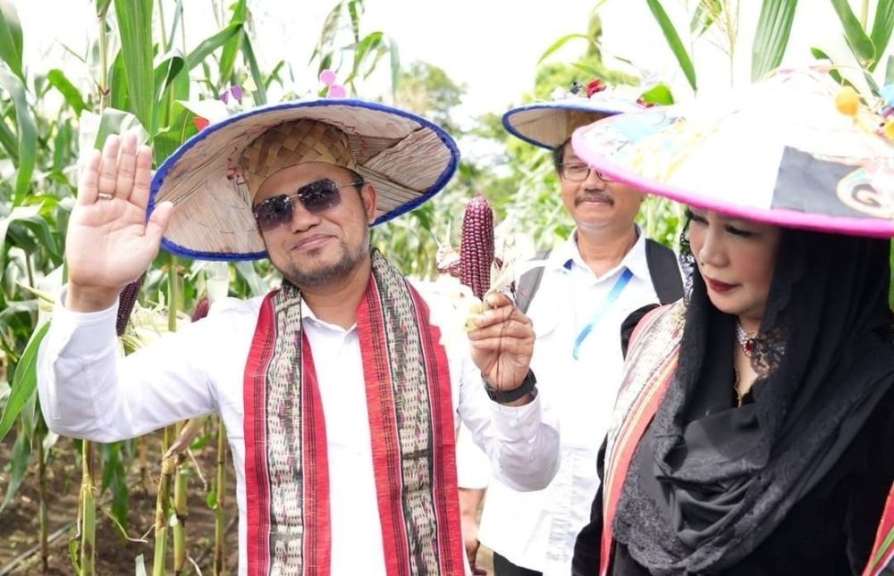 Gubernur Kaltim Rudy Mas'ud panen tanaman sayur dan buah hasil demplot pada Pekan Daerah (Peda) XI Petani Nelayan Provinsi Kalimantan Timur Tahun 2025, yang digelar di Taman Budaya Sendawar, Kecamatan Barong Tongkok, Kabupaten Kutai Barat, Sabtu (21/6/2025).
