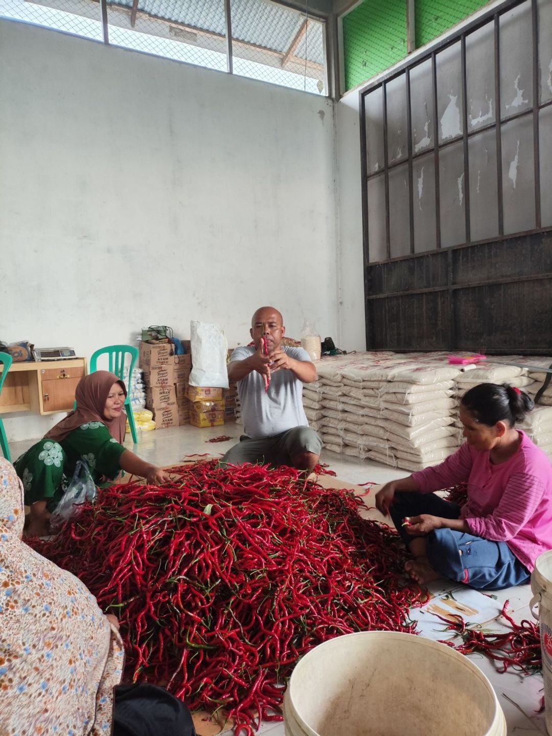 Koperasi Produsen Jaring Mas Sejahtera