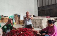Koperasi Produsen Jaring Mas Sejahtera