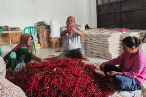 BRI Salurkan Pembiayaan Koperasi Penyuplai MBG, Dukung Ketahanan Pangan Nasional