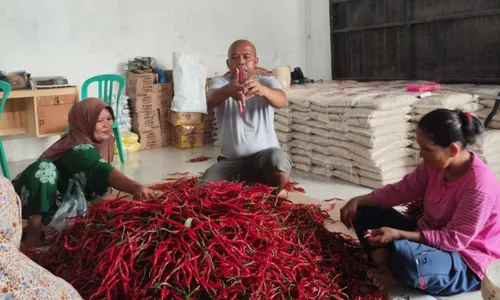 BRI Salurkan Pembiayaan Koperasi Penyuplai MBG, Dukung Ketahanan Pangan Nasional