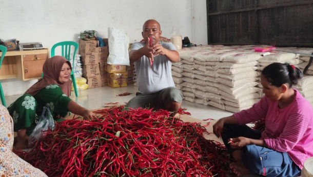 BRI Salurkan Pembiayaan Koperasi Penyuplai MBG, Dukung Ketahanan Pangan Nasional