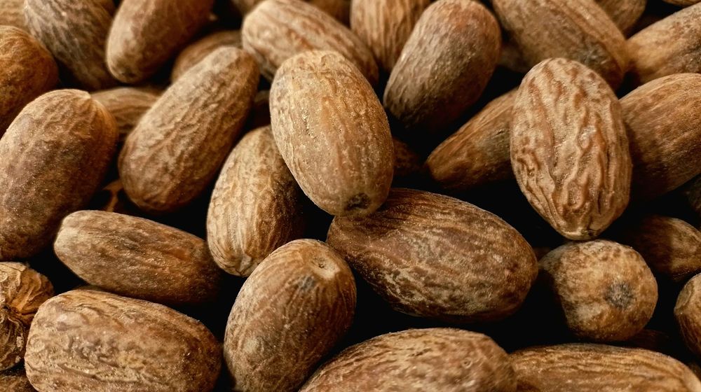 hardingferrent-SHD3Wg24u6I-unsplash (1).jpg