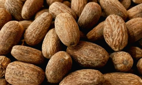 hardingferrent-SHD3Wg24u6I-unsplash (1).jpg