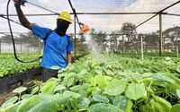 IGL dan BTL Komitmen Ringankan Perjuangan Warga Terdampak Banjir di Pohuwato dengan Bupati Pohuwato dan Instansi Terkait