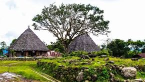 SOROTAN: Pariwisata Manggarai, Masa Depannya Cerah  Jika  Dikelola Secara Cermat dan Berorientasi Jangka Panjang