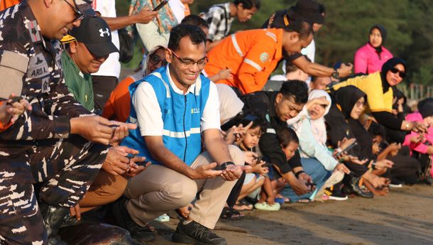 PLN NP Lepas 150 Tukik dan 1 Penyu Sisik di Pantai Pancer Door