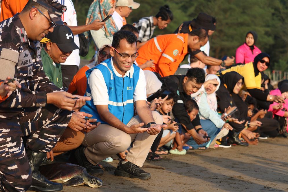 PLN NP Lepas 150 Tukik dan 1 Penyu Sisik di Pantai Pancer Door