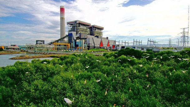 Kolaborasi Strategis, Laba Asosiasi PLN Nusantara Power Catat Rekor Tertinggi